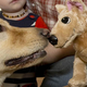 Illustration for article titled This Site Will Turn Your Rescue Dog Into a Free Plush Toy, If Youre Lucky